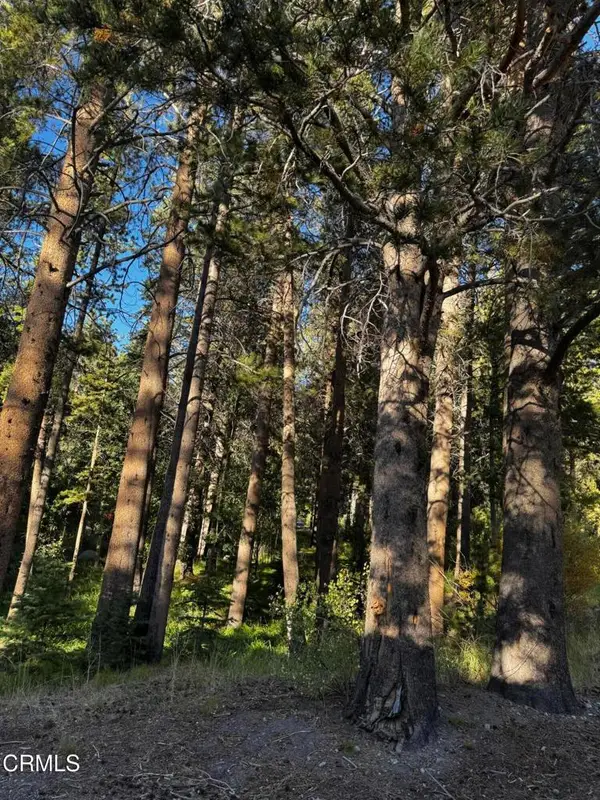 Lot 4 Minaret Road, June Lake, CA 93529
