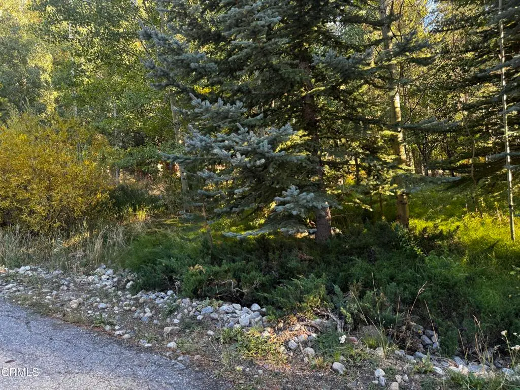 Lot 3 Minaret Road, June Lake, CA 93529 - #1