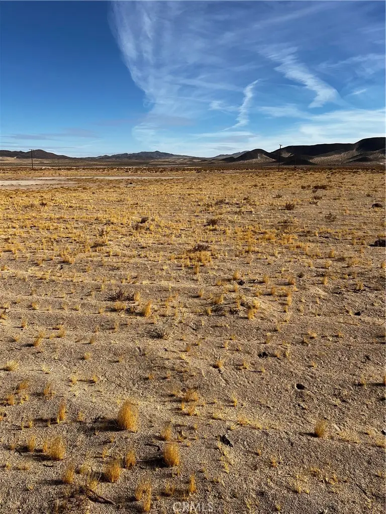 49652 Silver Valley Road, Newberry Springs, CA 92365 - #3
