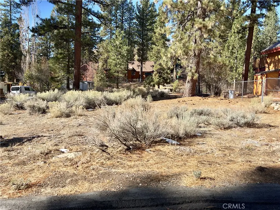 0 Canyon Road, Fawnskin, CA 92333 - #2
