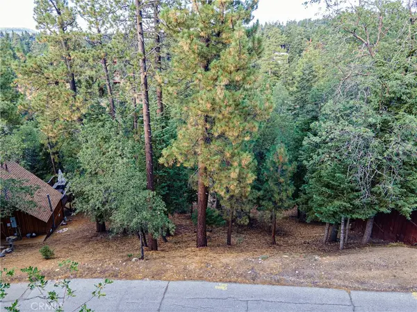 43326 Shasta Road, Big Bear, CA 92315