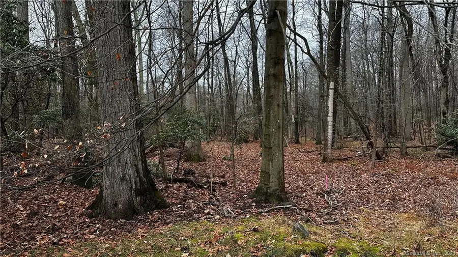 53 Michigan Road, New Canaan, CT 06840 - Image #2