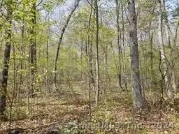 #2