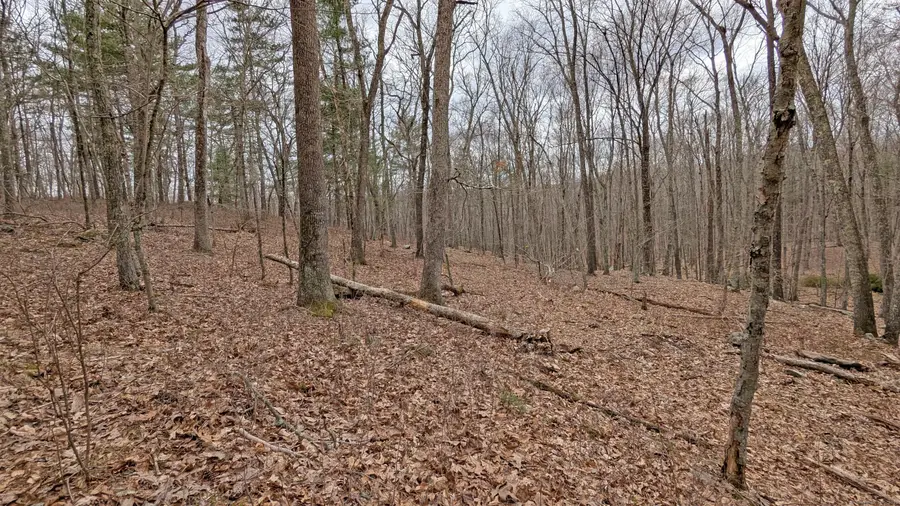 #3