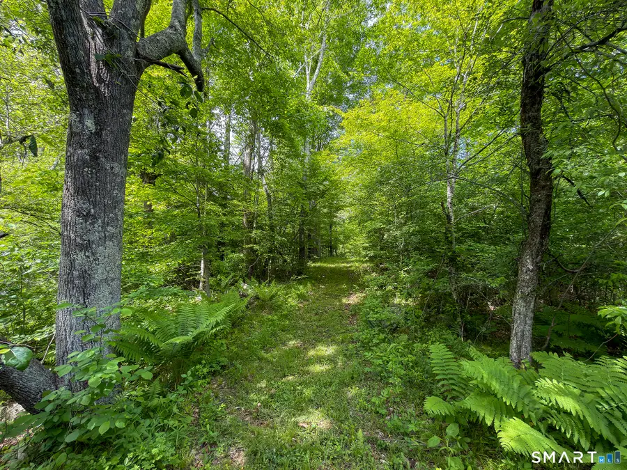 44 Keeler Road, Sharon, CT 06069 - #3