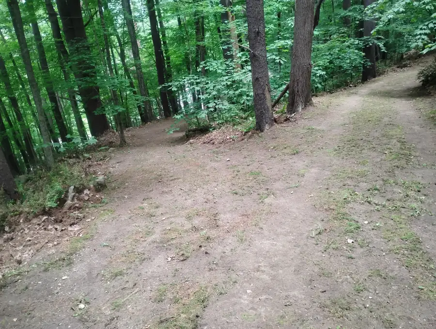 #3