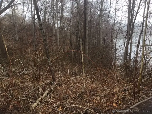 #3