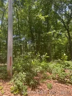 #1