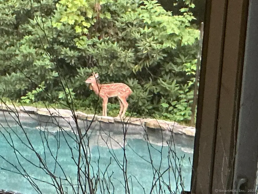 225 Crest Road, Middlebury, CT 06762 - Image #3