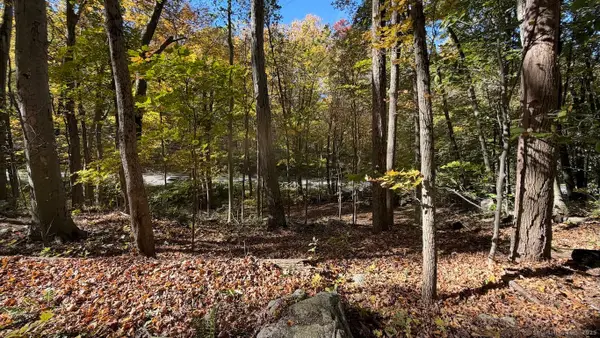 Main Street, Trumbull, CT 06611