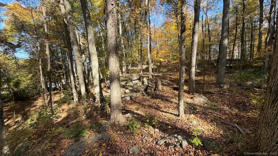 Main Street, Trumbull, CT 06611 - Image #2