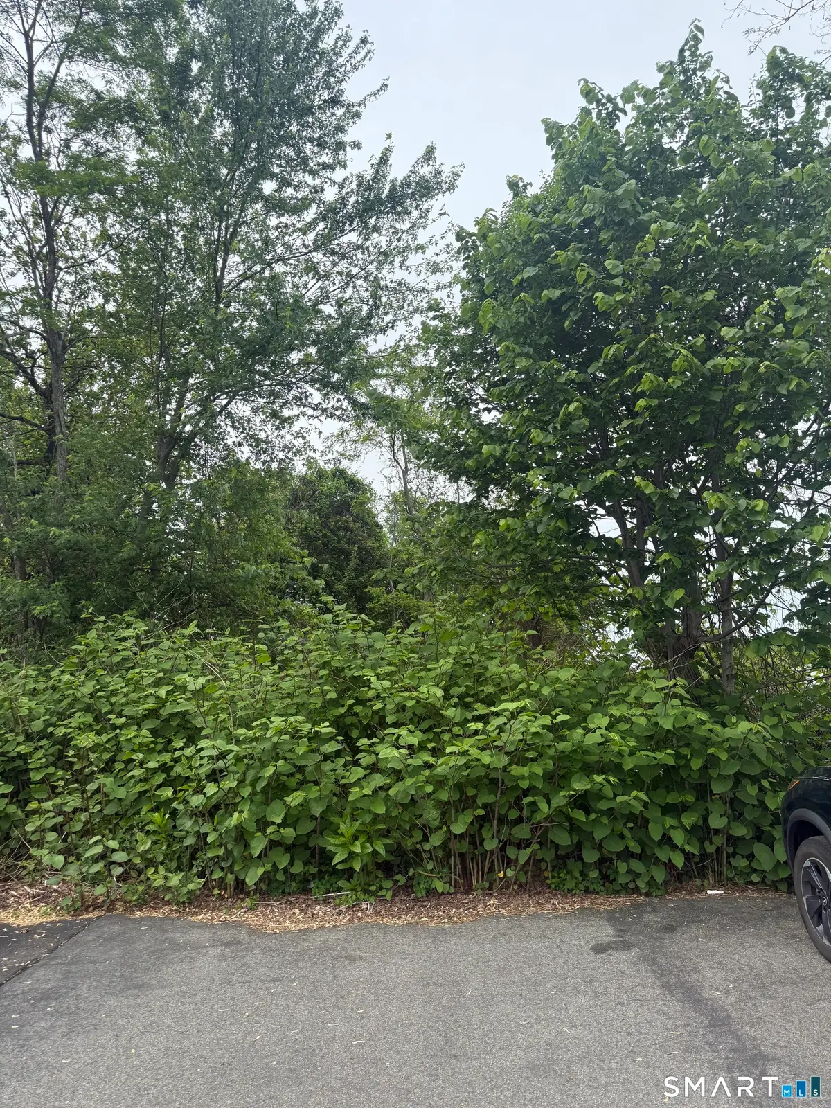 Middletown Avenue, Wethersfield, CT 06109 - #1