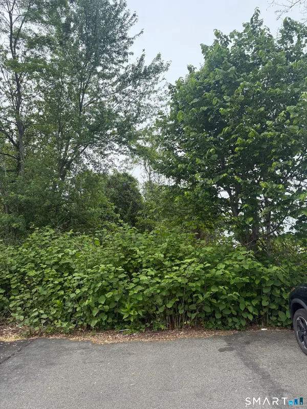 Middletown Avenue, Wethersfield, CT 06109