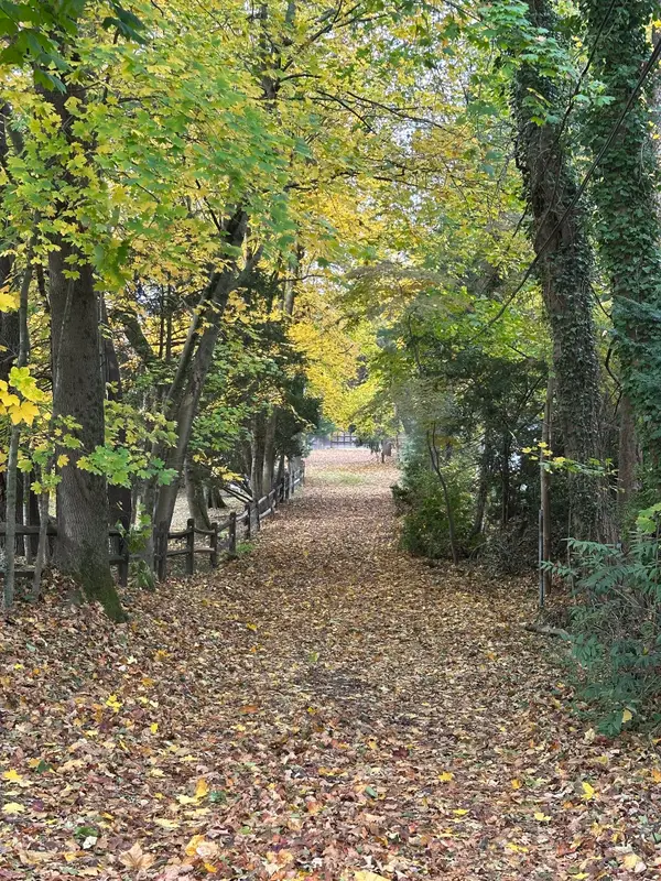 39 Noroton Avenue, Darien, CT 06820