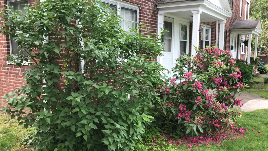 18 Bridge Street #4B, Naugatuck, CT 06770 - Image #2