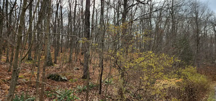 Richards Road, Kent, CT 06757 - Image #3