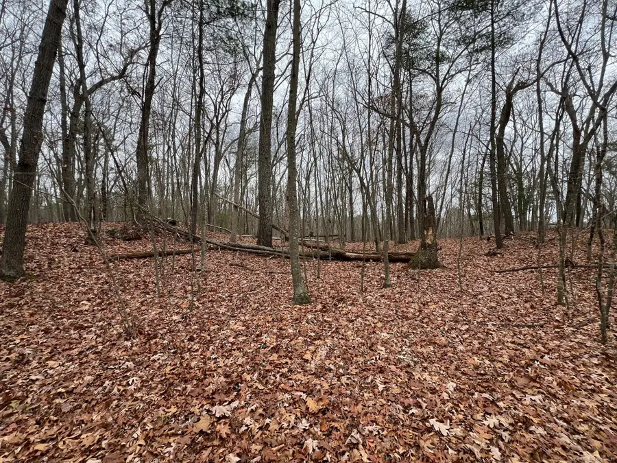 Wilsonville Road, Thompson, CT 06277 - Image #3