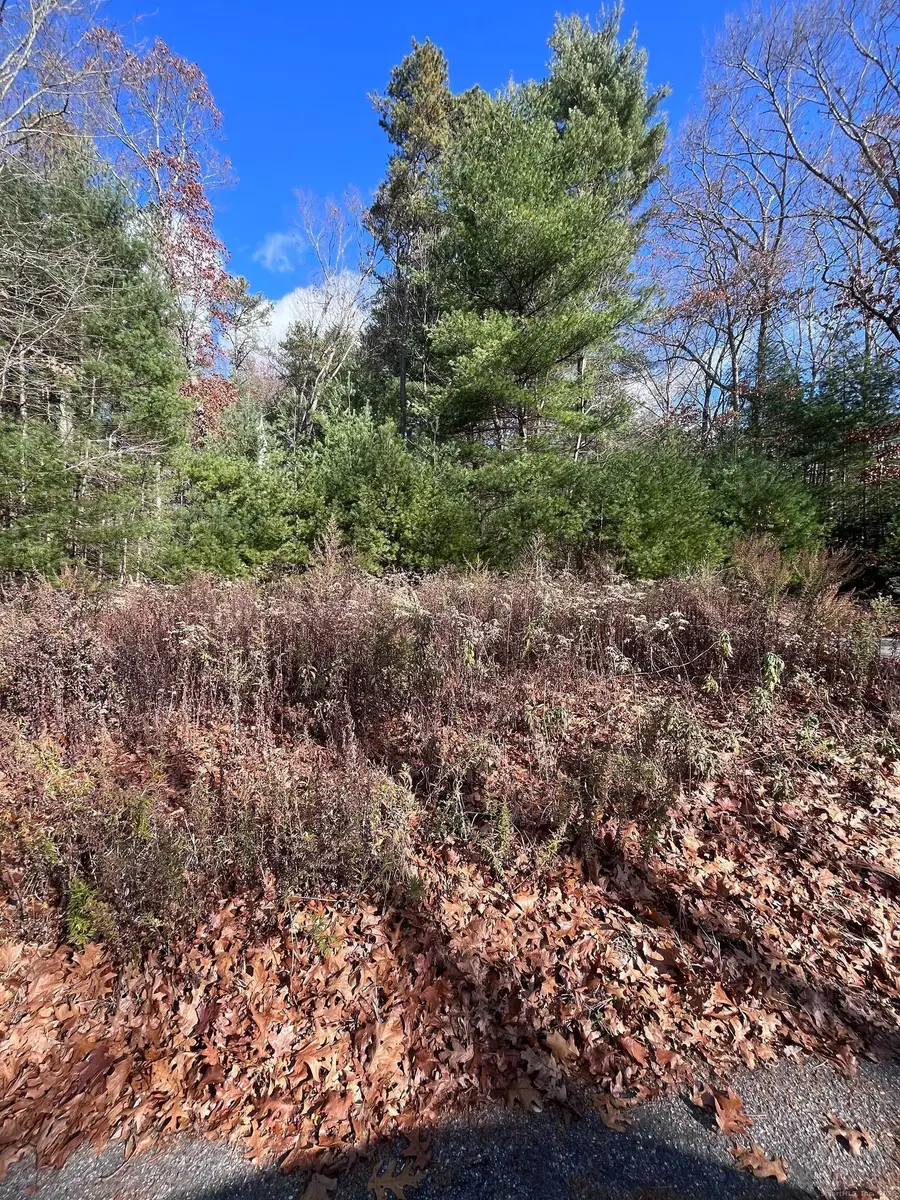 108 Aldrich Road, Putnam, CT 06260 - Image #2