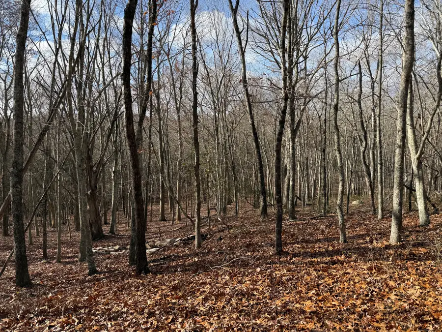 Chesterfield Road, East Lyme, CT 06333 - Image #3