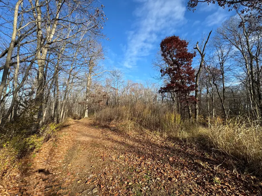 71 Hilltop Drive, Branford, CT 06405 - Image #2