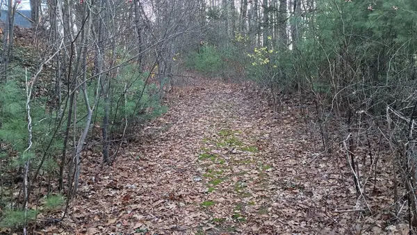 Campville Hill Road, Harwinton, CT 06791