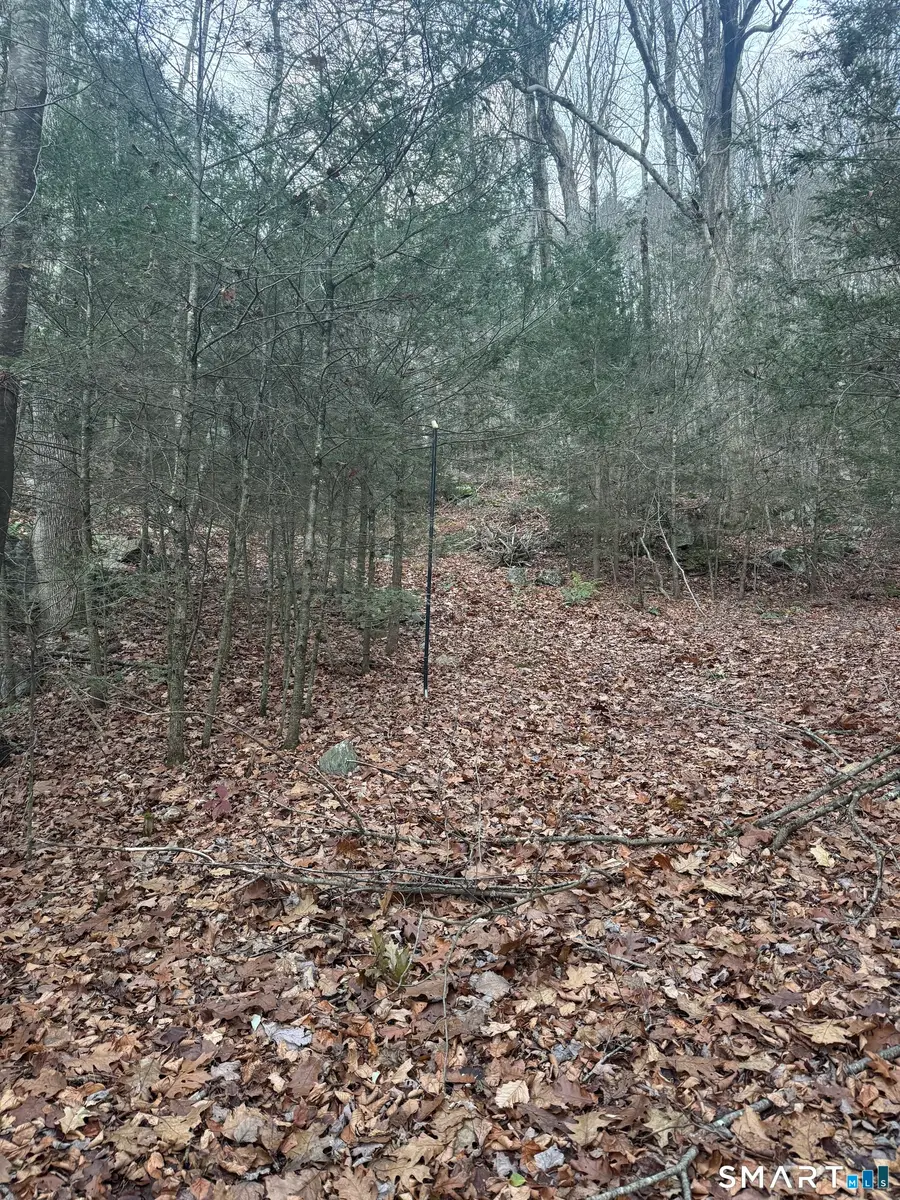 425 Colebrook River Road, Colebrook, CT 06021 - Image #3