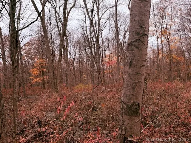 72D Walnut Street, Seymour, CT 06483 - Image #1