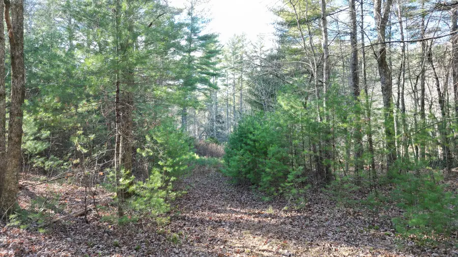 81 Deerfield Drive, Sterling, CT 06373 - Image #2