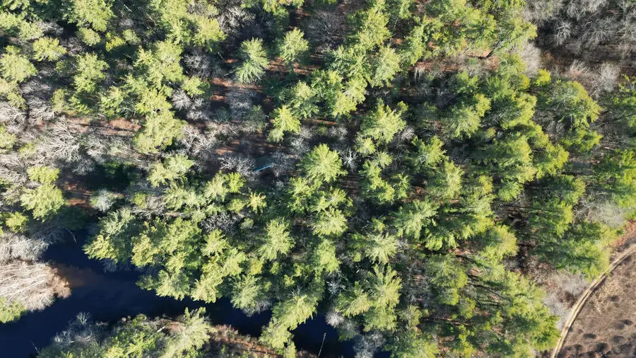 81 Deerfield Drive, Sterling, CT 06373 - Image #3