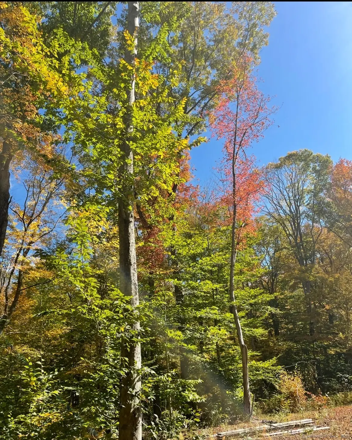 Brook Road #lot 4, Hampton, CT 06247 - #1