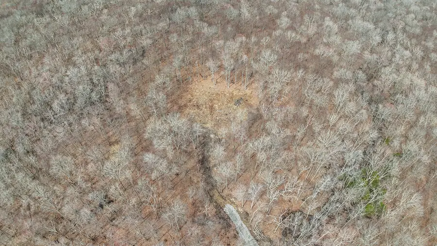 Lot 12-1 Tripp Hollow Road, Brooklyn, CT 06234 - Image #2