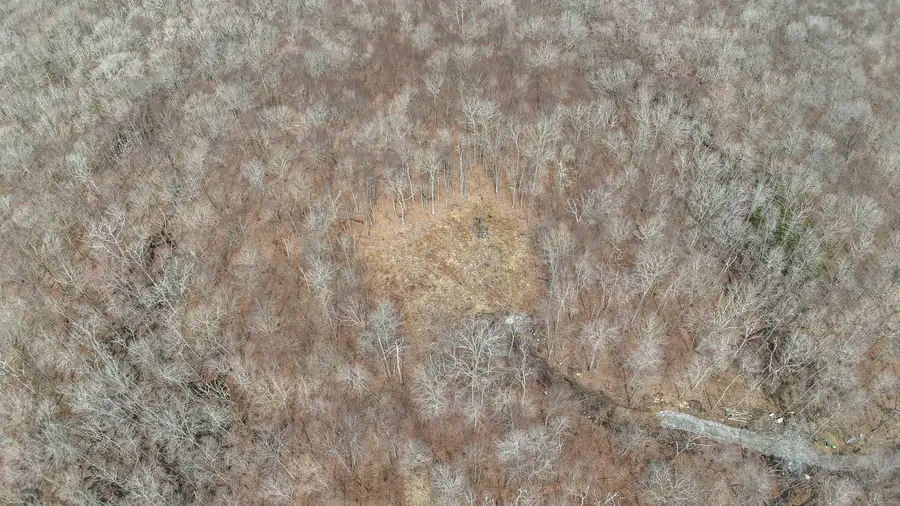 Lot 12-1 Tripp Hollow Road, Brooklyn, CT 06234 - Image #3