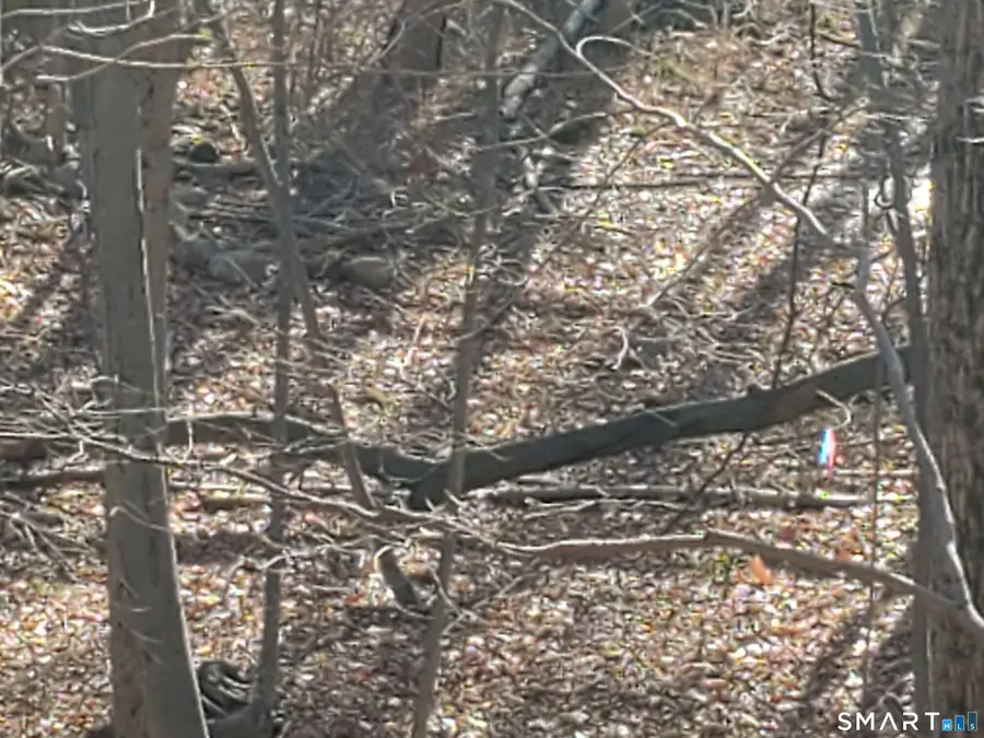 292 Deerfield Drive, Hamden, CT 06518 - Image #3