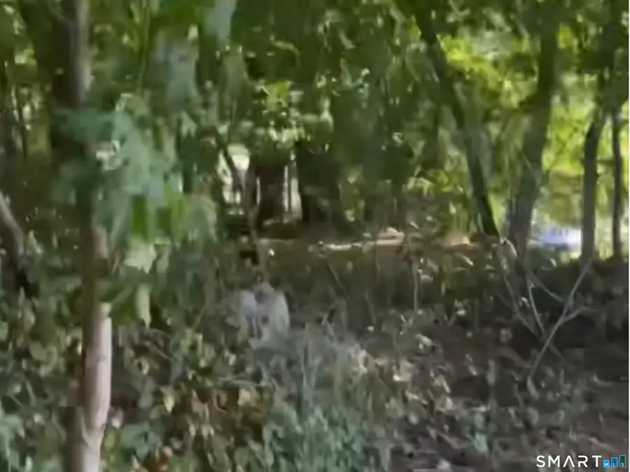 Echo Lake Road, Watertown, CT 06795 - Image #2