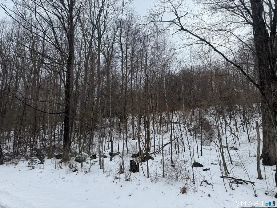 262 Stoddard Road, Morris, CT 06763 - Image #3