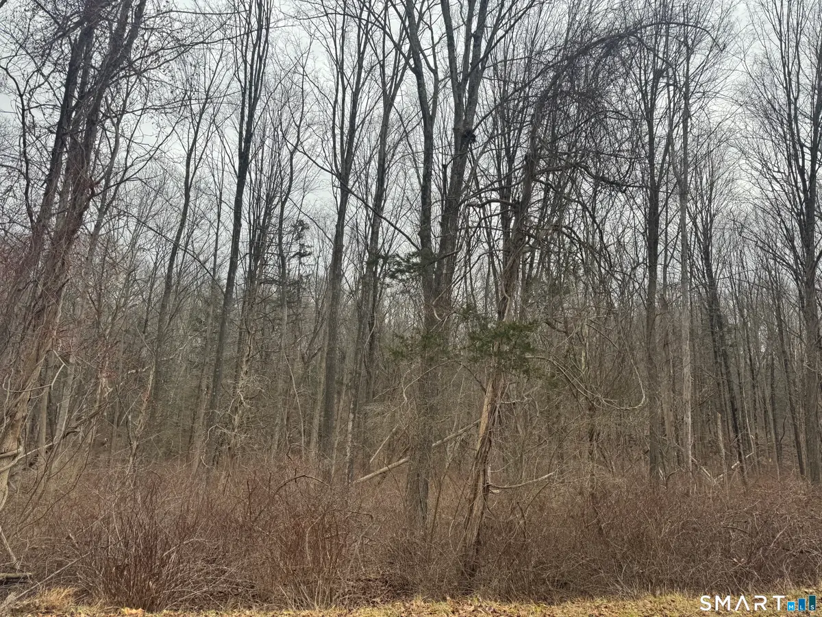 0 Bell Street, Middletown, CT 06457 - Image #1