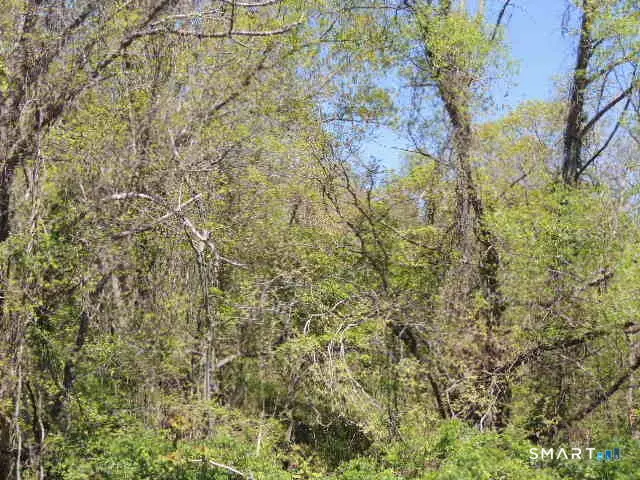 47,47R,63,65R Coleman Street, West Haven, CT 06516 - Image #1