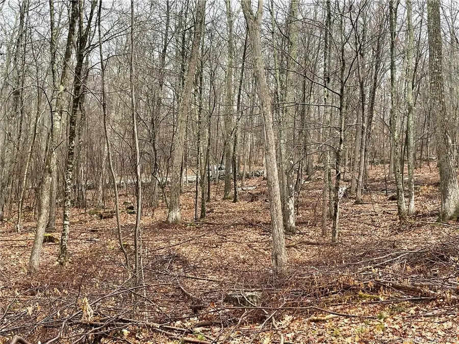 Westwoods Road # 2, Sharon, CT 06069 - #3