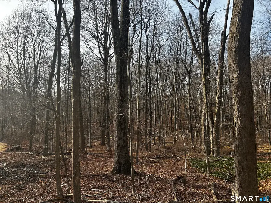 6 Westminster Road, Danbury, CT 06811 - Image #2