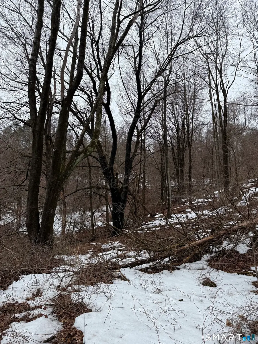 1092 Hickory Hill Road, Thomaston, CT 06787 - #3