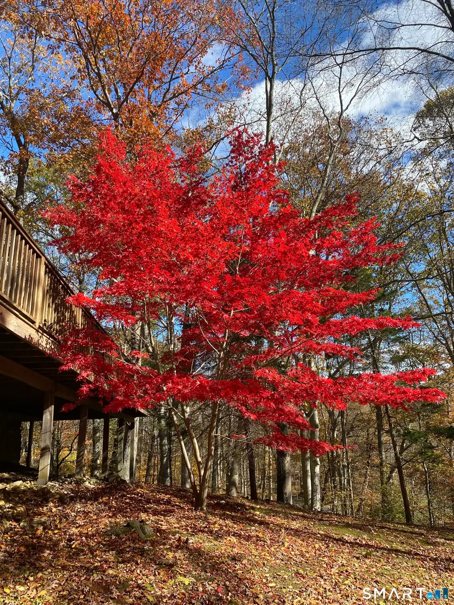 134 Delaware Road, Easton, CT 06612 - Image #3