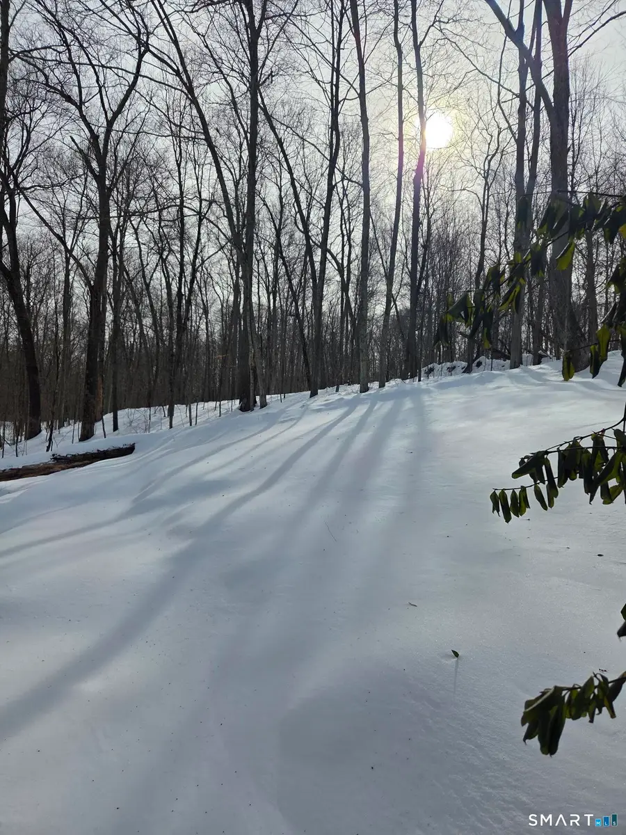 277 Lake Road, Andover, CT 06232 - #3