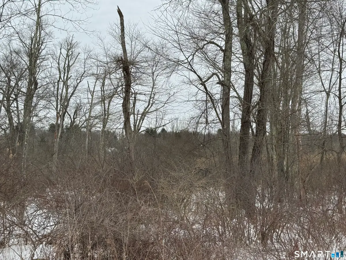 63 Sugar Street, Newtown, CT 06470 - #1