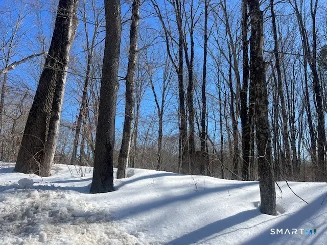 Bebbington Road, Ashford, CT 06278 - #3