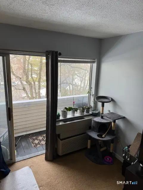 163 South Street #19, Danbury, CT 06810 - #2