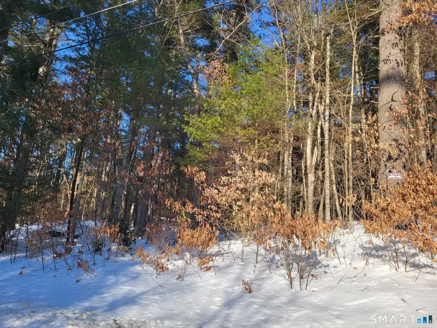 14 Goodell Road, Stafford Springs, CT 06076 - #3