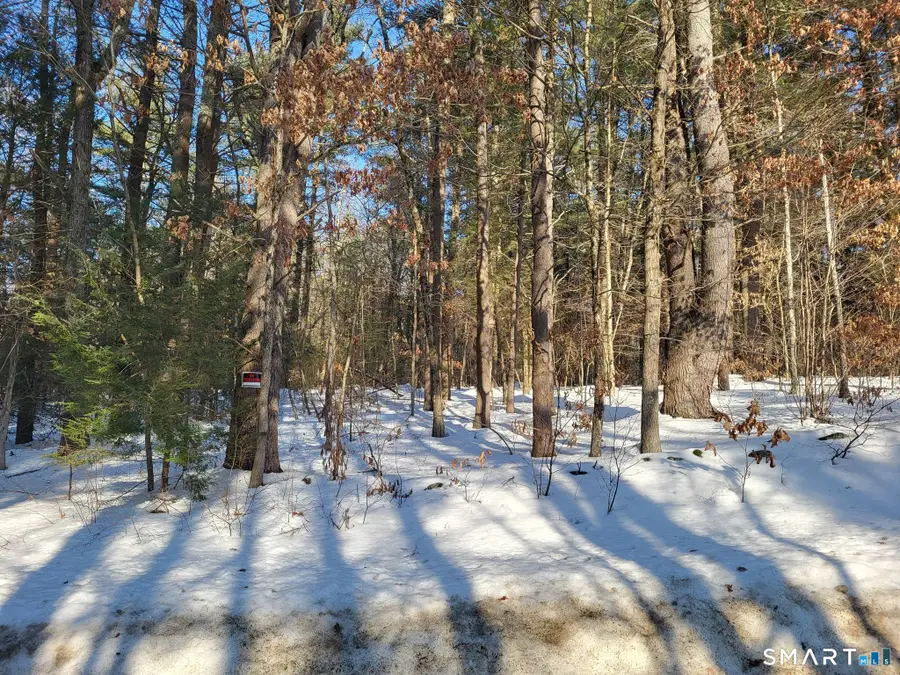 16 Goodell Road, Stafford Springs, CT 06076 - #3