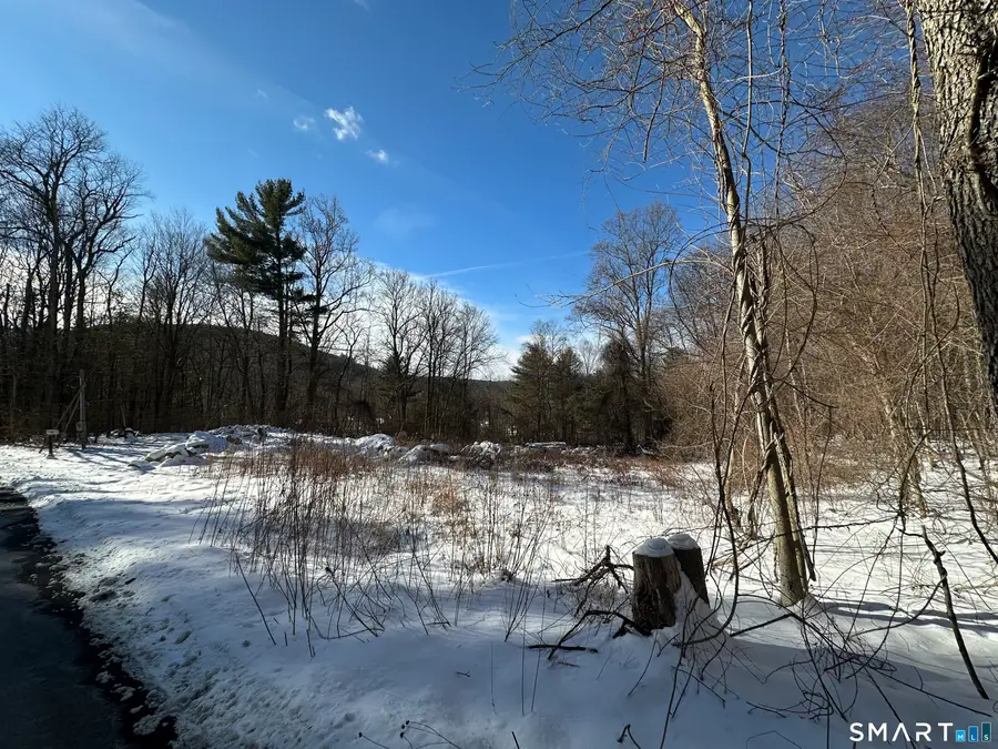 13 Meadow Street, New Hartford, CT 06057 - #2