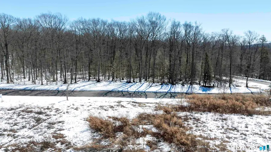 110 Windsor Court, Avon, CT 06001 - #3