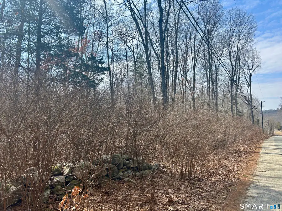 Reilly Road, Hampton, CT 06427 - #3